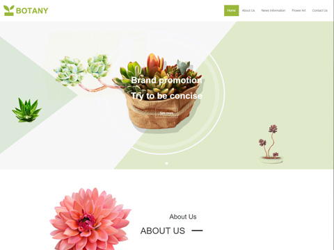 https://www.sitestar.cn/trade/preview.aspx?domain=https://flowers-004.site0.eznetonline.com&tpl_id=5383&tpl_belong_type=2