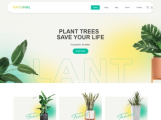 https://www.sitestar.cn/trade/preview.aspx?domain=https://onlinestore057.site0.eznetonline.com&tpl_id=5540&tpl_belong_type=4