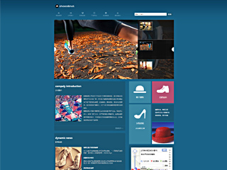 http://shoes-112.view.sitestar.cn/
