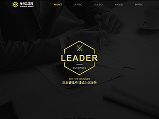 http://business-201.view.sitestar.cn/