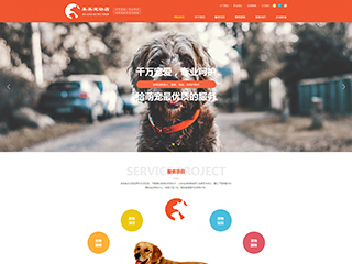 http://pets-300.view.sitestar.cn/