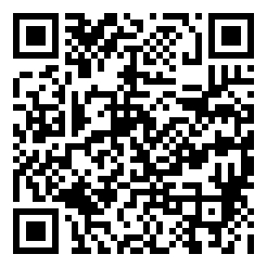 https://auction-300.view.sitestar.cn/
