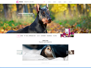 http://pets-1048903.view.sitestar.cn/