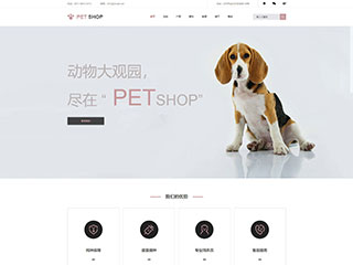 http://pets-1044956.view.sitestar.cn/